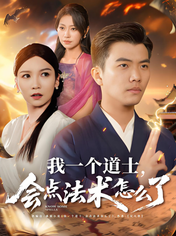 我一个道士会点法术怎么了