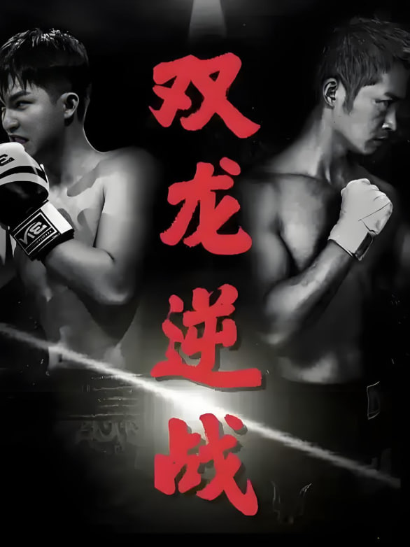 双龙逆战（拳王之父子双龙）