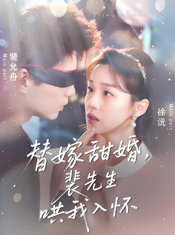 替嫁甜婚裴先生哄我入怀