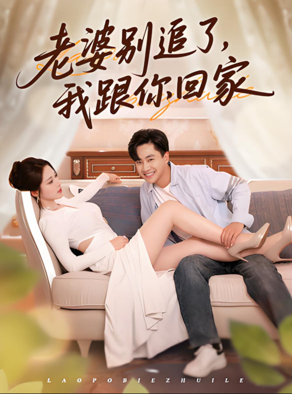 老婆别追了我跟你回家