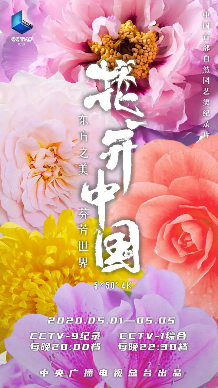 花开中国