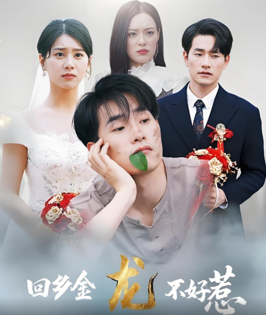 回乡金龙不好惹
