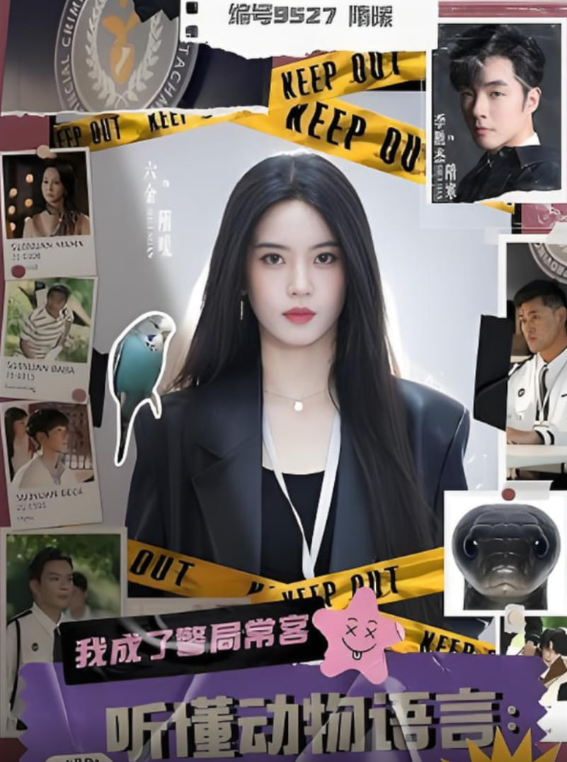 听懂动物语言我成了警局常客