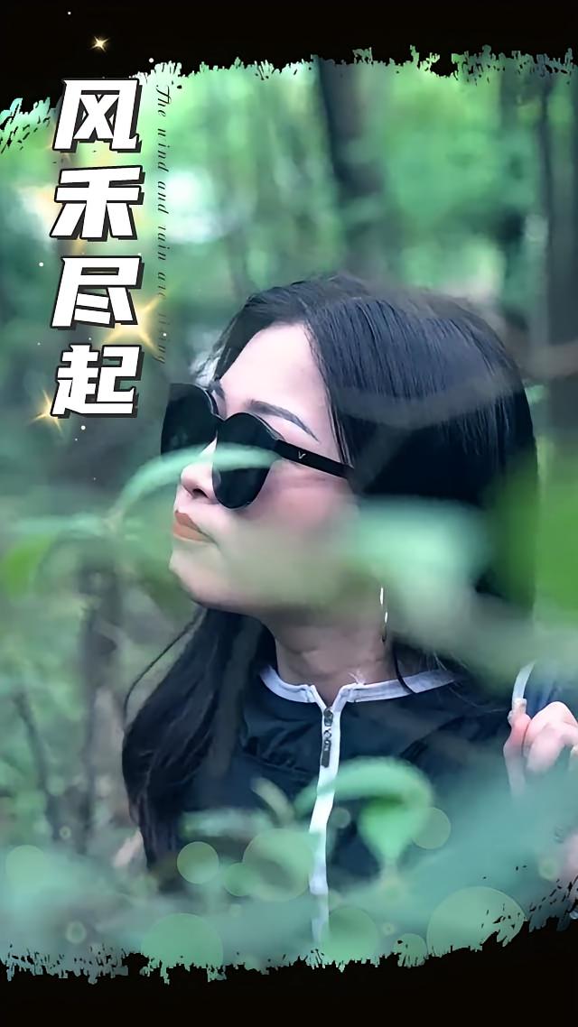 风禾尽起 2025