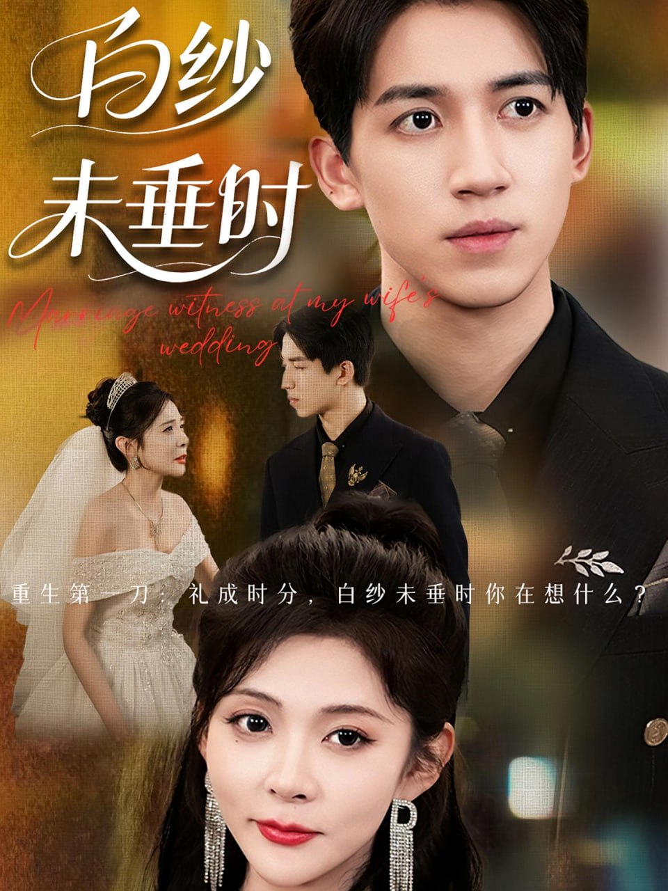 老婆婚礼我当证婚人（白纱未垂时）