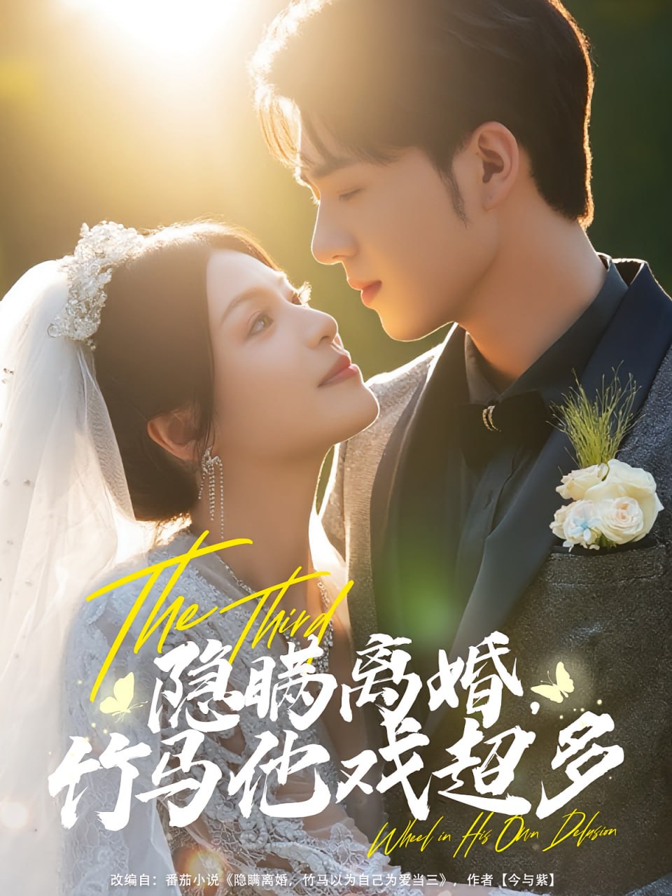 隐瞒离婚竹马他戏超多