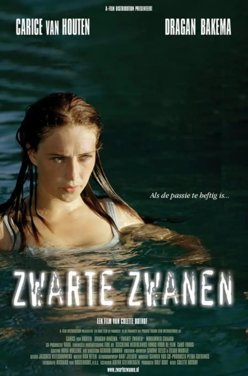 黑天鹅 2005