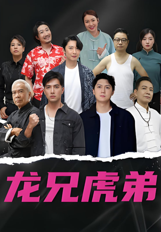 龙虎兄弟 国语版