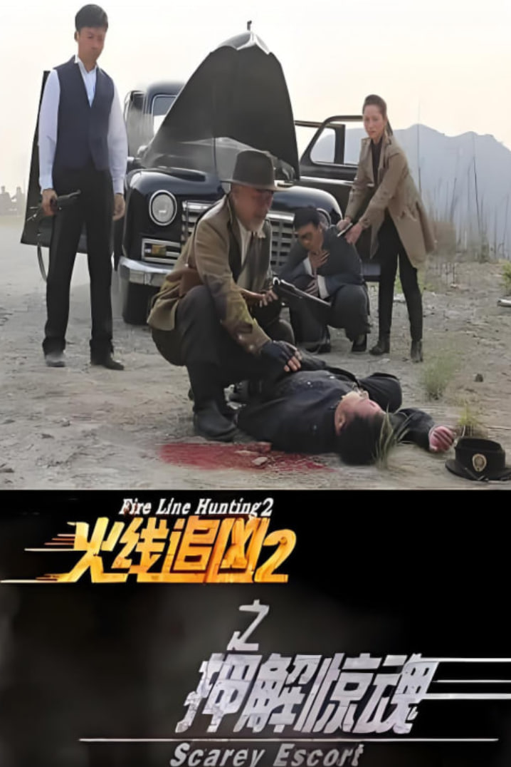 火线追凶2之押解惊魂