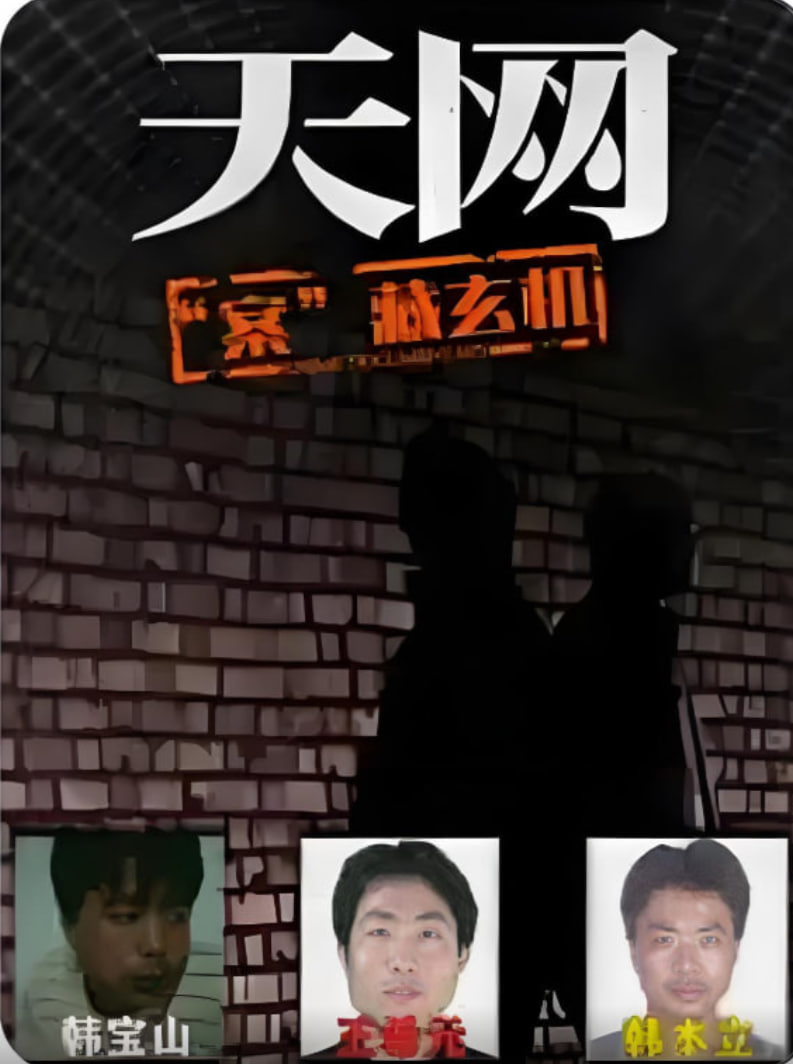 天网：“案”藏玄机