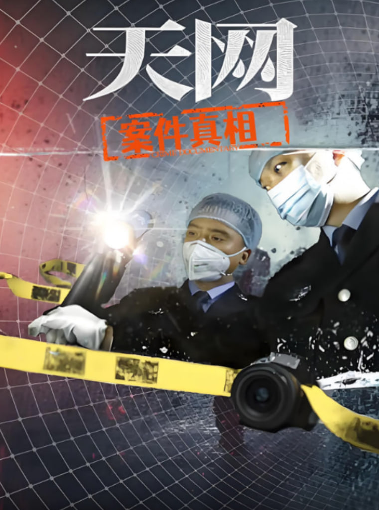 天网：案件真相
