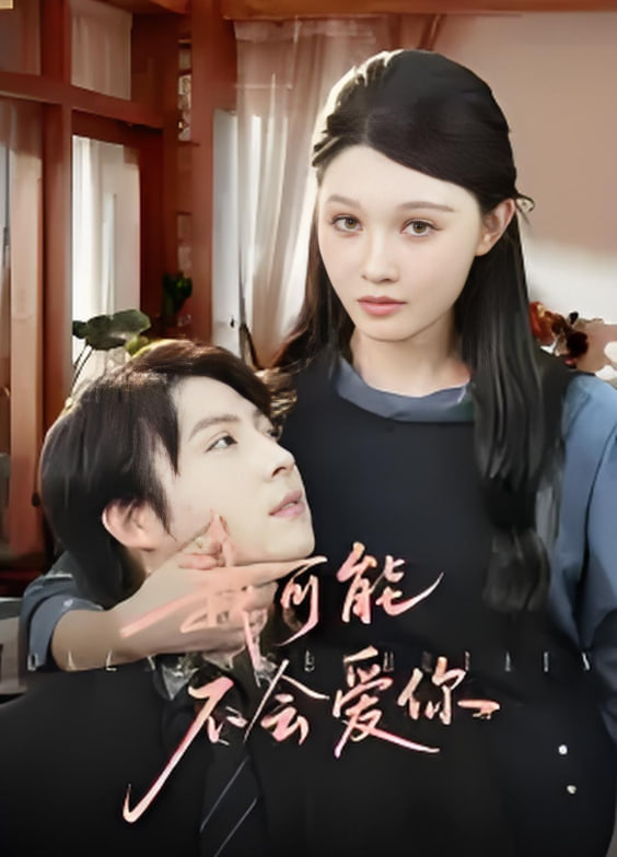 我可能不会爱你