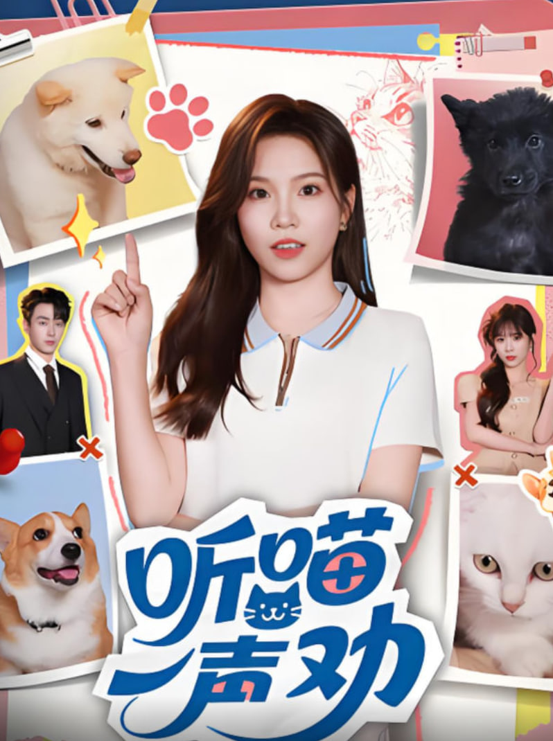 听喵一声劝