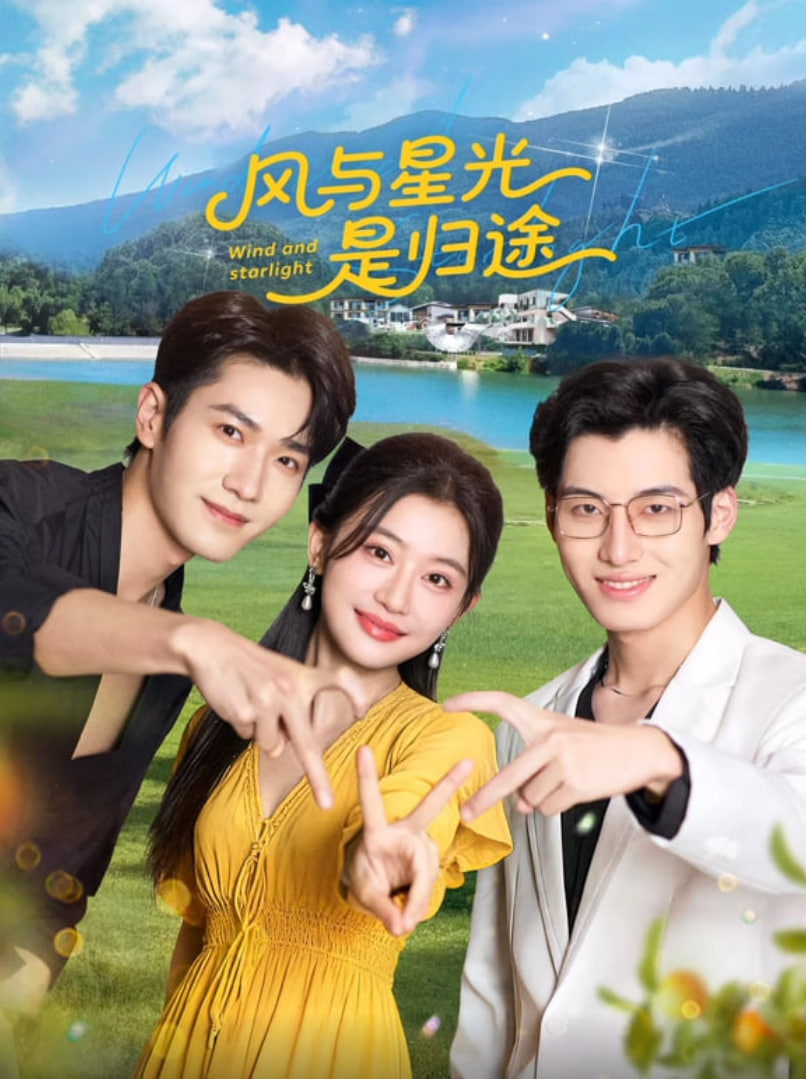 风与星光是归途