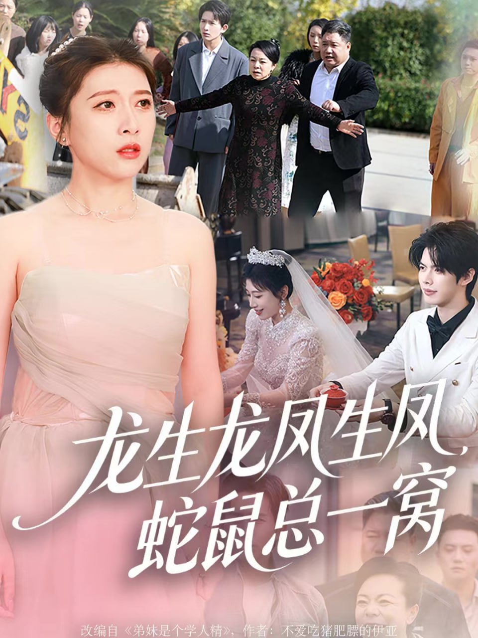 龙生龙凤生凤，蛇鼠总一窝
