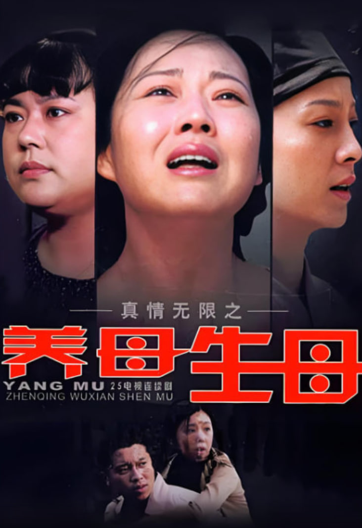 真情无限之养母生母