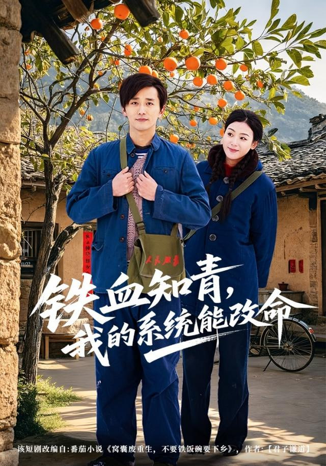 铁血知青，我的系统能改命
