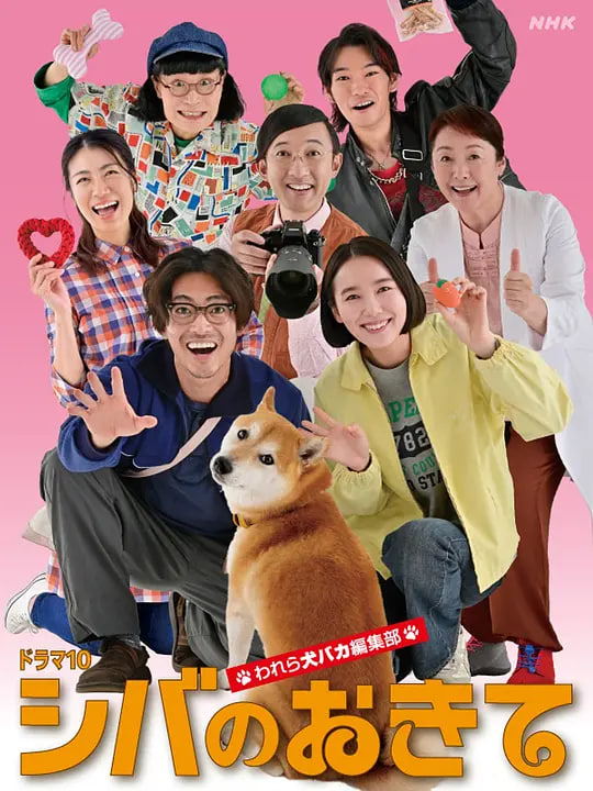 柴犬的规矩～我们这群狗痴编辑部