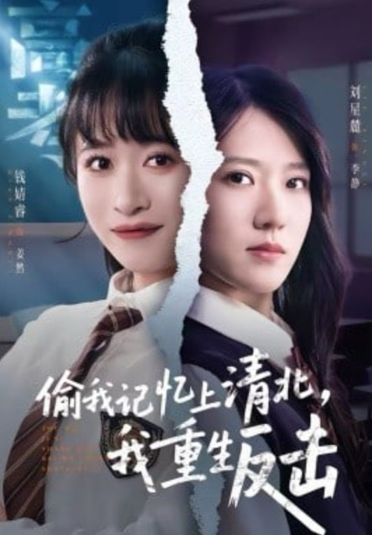 偷我记忆上清北，我重生反击