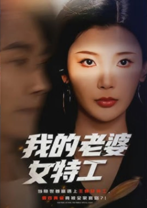 我的老婆女特工