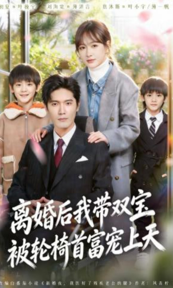 离婚后我带双宝被轮椅首富宠上天（离婚后），我被轮椅首富宠上天