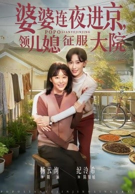 婆婆连夜进京，领儿媳征服大院