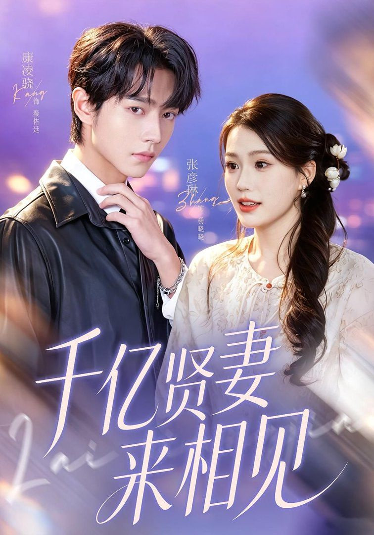钻石贤妻来相见（千亿贤妻来相见）