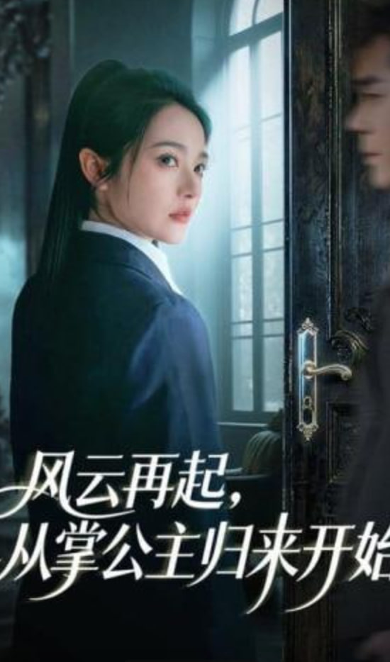 风云再起，从掌公主归来开始