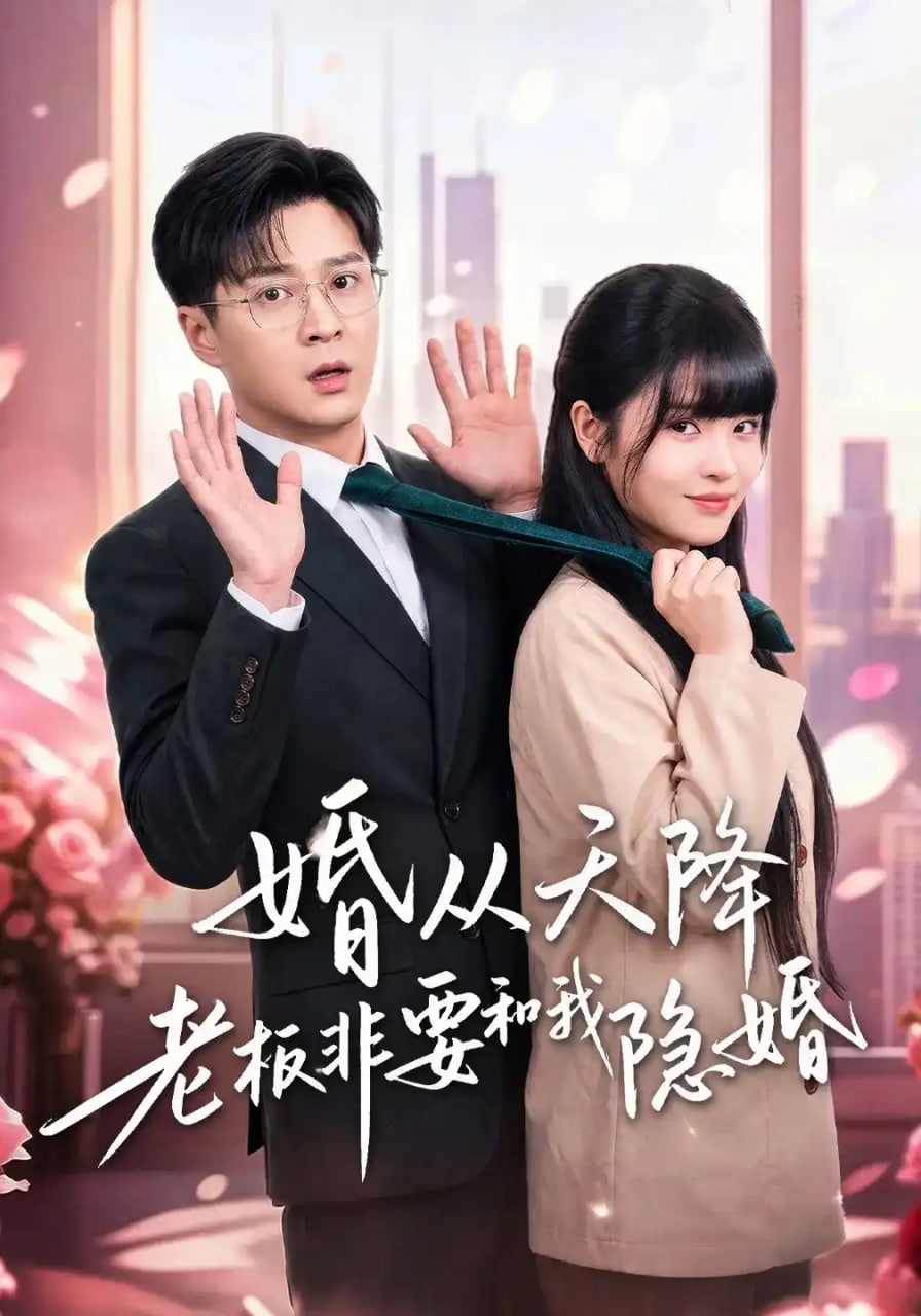 婚从天降老板非要和我隐婚